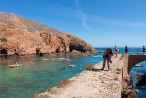 Lisbon: Berlenga Island Full Day Tour