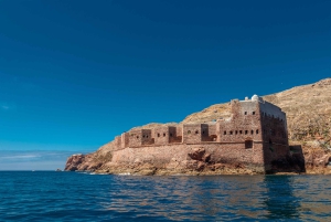Lisbon: Berlenga Island Full Day Tour