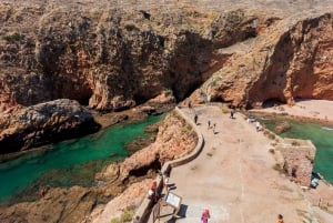 Lisbon: Berlenga Island Full Day Tour