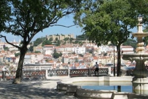 Lisbon: Private City Tour by Eco Tuk Tuk