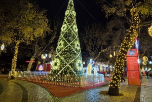 Lisbon: Christmas Lights Tuk-Tuk Tour with Local Guide