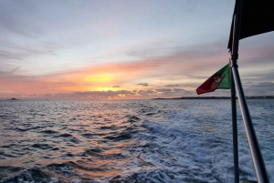 Lisbon: City Boat Cruise Daytime/Sunset/Night with Champagne