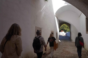 Лиссабон: пешая экскурсия с гидом по главным достопримечательностям города