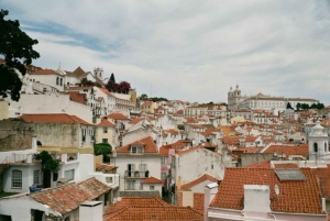 Lisbon: Private Christmas Lights Tour by Eco Tuk Tuk