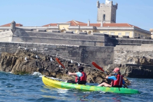 Lisbon: Coast Guided Kayak Tour