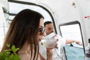 リスボン・コーヒークルーズ ― 豪華船、パステル・デ・ナタ＆イルカ