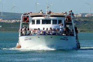 Lisboa: Cruzeiro até à praia com churrasco, bar aberto e música