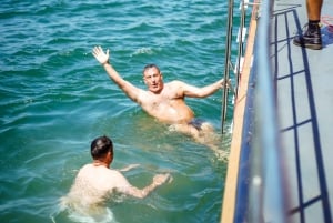 Lisboa: Cruzeiro até à praia com churrasco, bar aberto e música