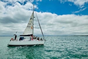 Lisbon: Morning, After lunch or Sunset tour at Tagus River