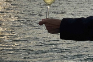 Lisbona: Tour di un giorno e di un tramonto sul fiume Tago