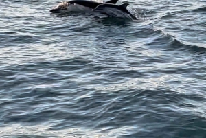 Lisbona: Tour di un giorno e di un tramonto sul fiume Tago