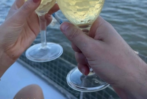 Lisbona: Tour di un giorno e di un tramonto sul fiume Tago