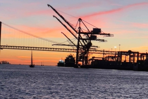 Lisbona: Tour di un giorno e di un tramonto sul fiume Tago