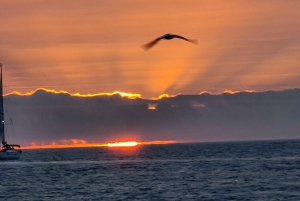 Lissabon: Dag- eller solnedgångskryssning med historia och vin