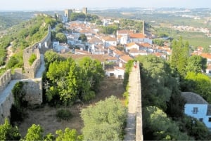 Lissabon: Dinosaurusten jalanjäljet, luolat ja Óbidos-kierros