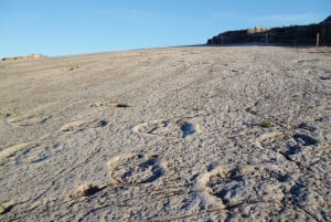 Lissabon: Dinosaurusten jalanjäljet, luolat ja Óbidos-kierros