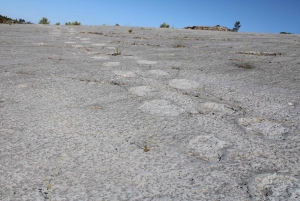 Lissabon: Dinosaurusten jalanjäljet, luolat ja Óbidos-kierros