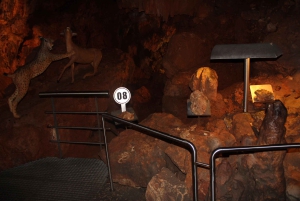 Lissabon: Dinosaurusten jalanjäljet, luolat ja Óbidos-kierros