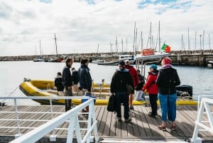 Lisbon: Dolphin Watching in Arrábida Natural Park