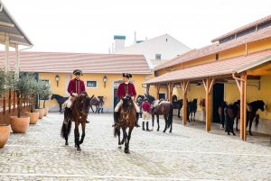 Lisbon: Morning of Equestrian Art with Lusitano Horses