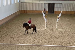 Lisbon: Morning of Equestrian Art with Lusitano Horses