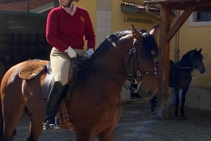 Lisbon: Morning of Equestrian Art with Lusitano Horses