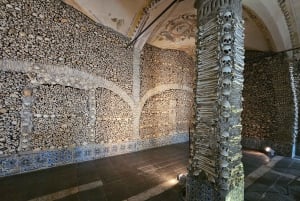 リスボン発：エヴォラ（大聖堂＆骨のアートギャラリー）、カルトゥシャ修道院、コルク工場をご案内します