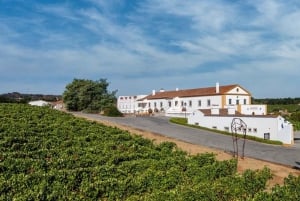 リスボン発：エヴォラ（大聖堂＆骨のアートギャラリー）、カルトゥシャ修道院、コルク工場をご案内します