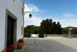 リスボン発：エヴォラ（大聖堂＆骨のアートギャラリー）、カルトゥシャ修道院、コルク工場をご案内します