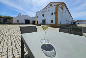 リスボン発：エヴォラ（大聖堂＆骨のアートギャラリー）、カルトゥシャ修道院、コルク工場をご案内します