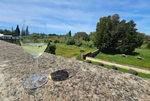 リスボン発：エヴォラ（大聖堂＆骨のアートギャラリー）、カルトゥシャ修道院、コルク工場をご案内します