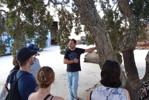 リスボン発：エヴォラ（大聖堂＆骨のアートギャラリー）、カルトゥシャ修道院、コルク工場をご案内します