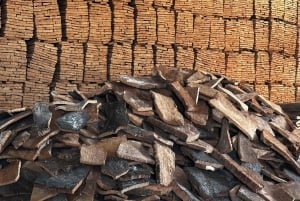 リスボン発：エヴォラ（大聖堂＆骨のアートギャラリー）、カルトゥシャ修道院、コルク工場をご案内します