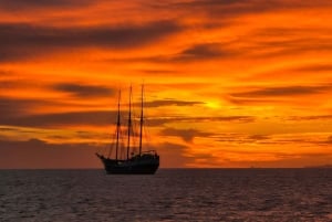 Lissabon eksklusiv privat bådtur - dagtimerne eller solnedgang