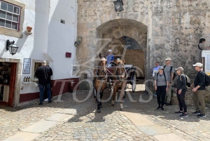 リスボン：ファティマ、ナザレ、オビドス、ミラ・デ・アイレ プライベートツアー