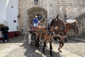 リスボン：ファティマ、ナザレ、オビドス、ミラ・デ・アイレ プライベートツアー