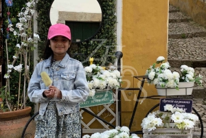 リスボン：ファティマ、ナザレ、オビドス、ミラ・デ・アイレ プライベートツアー