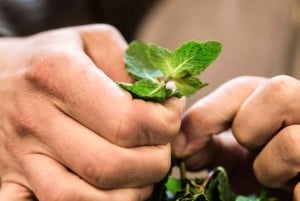 Lissabon: 3-stündiger Essen- und Kultur-Rundgang