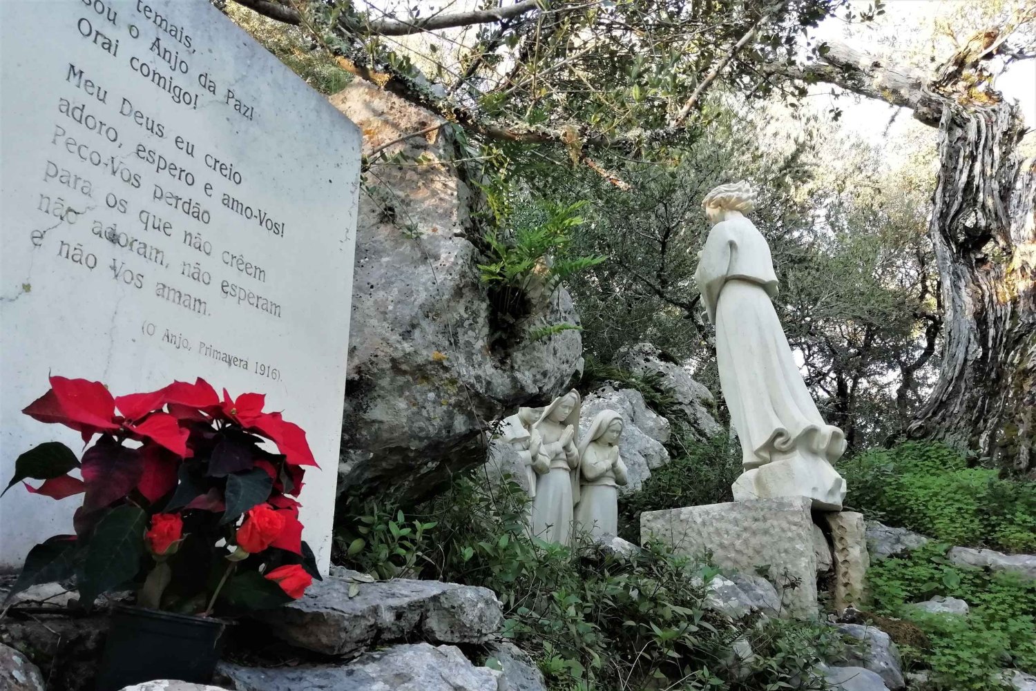 Lisboa: Visita guiada privada de un día a Fátima