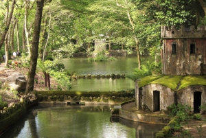 Lisbona: giornata intera a Sintra con Palácio Nacional da Pena e Quinta da Regaleira