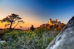 Lisbona: giornata intera a Sintra con Palácio Nacional da Pena e Quinta da Regaleira
