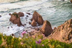 Lisbona: giornata intera a Sintra con Palácio Nacional da Pena e Quinta da Regaleira