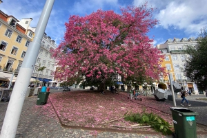 Lisbona: Tour a piedi della storia infestata dai fantasmi del passato