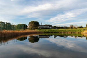 Lisboa: Experiência de golfe com aluguer de equipamento