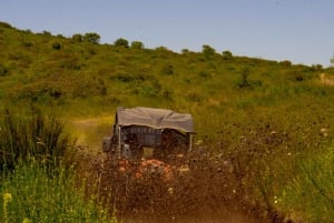 Lissabon: Geführte Buggy-Tour