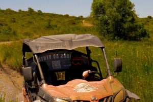 Lissabon: Geführte Buggy-Tour