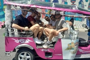 Lisbonne : visite privée d'une demi-journée en tuk-tuk