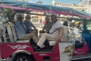 Lisbonne : visite privée d'une demi-journée en tuk-tuk