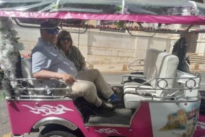 Lisbonne : visite privée d'une demi-journée en tuk-tuk