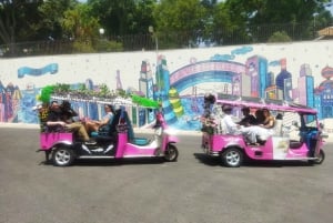 Lisbonne : visite privée d'une demi-journée en tuk-tuk